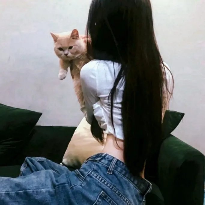 萌犬流浪记