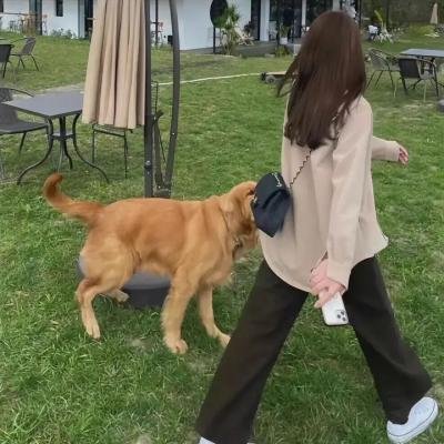 戴夫银行2:大耳窿